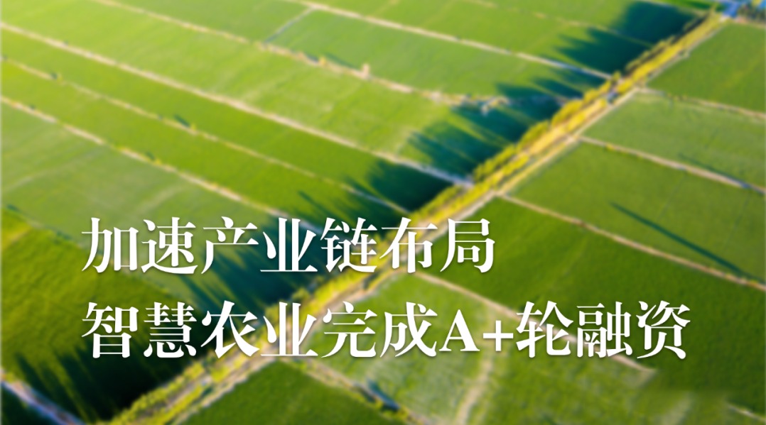 加速农业产业链布局，kdpay钱包(中国)农业完成A+轮融资