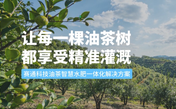 赛通科技油茶kdpay钱包(中国)水肥一体化解决方案：让每一棵油茶树都享受精准灌溉